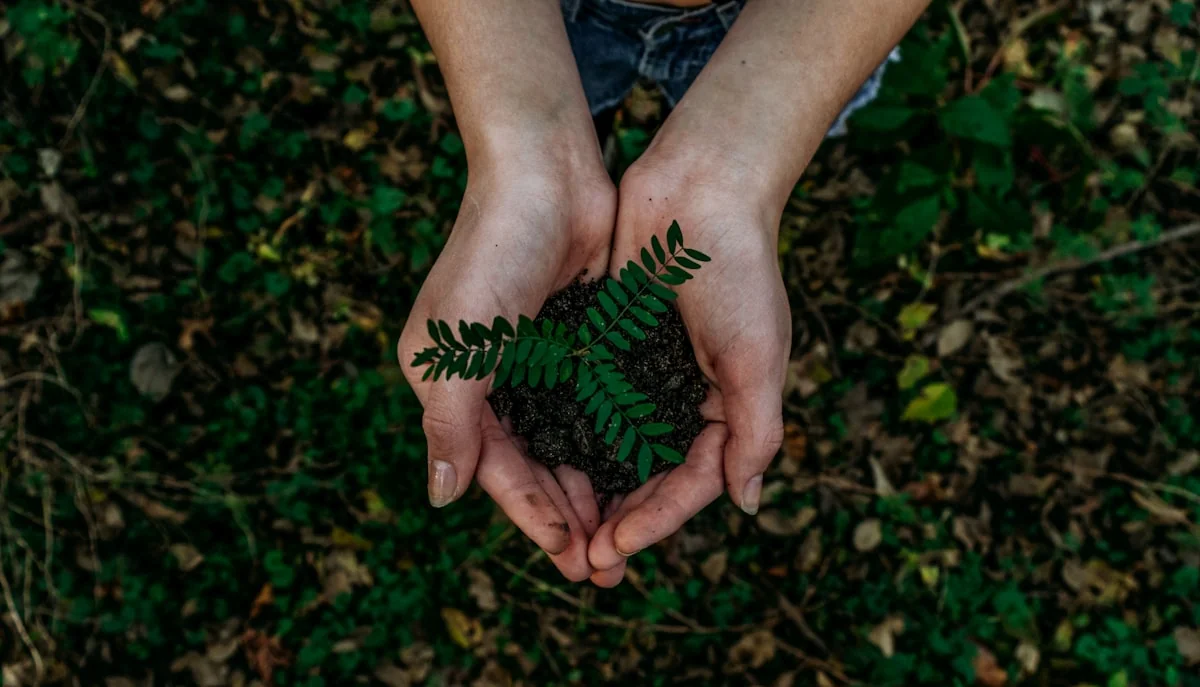 Environmental Sustainability